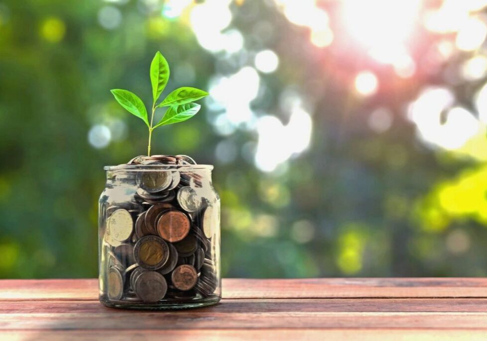 Savings jar with growing green sprout
